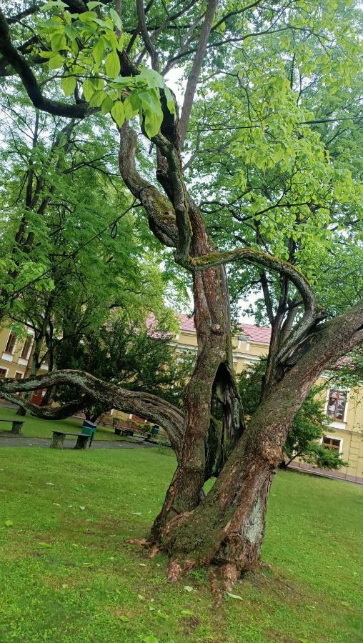 Apartament U Agaty Czernichow Krakow Zator Eksteriør bilde