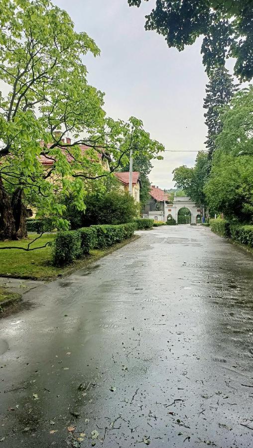 Apartament U Agaty Czernichow Krakow Zator Eksteriør bilde