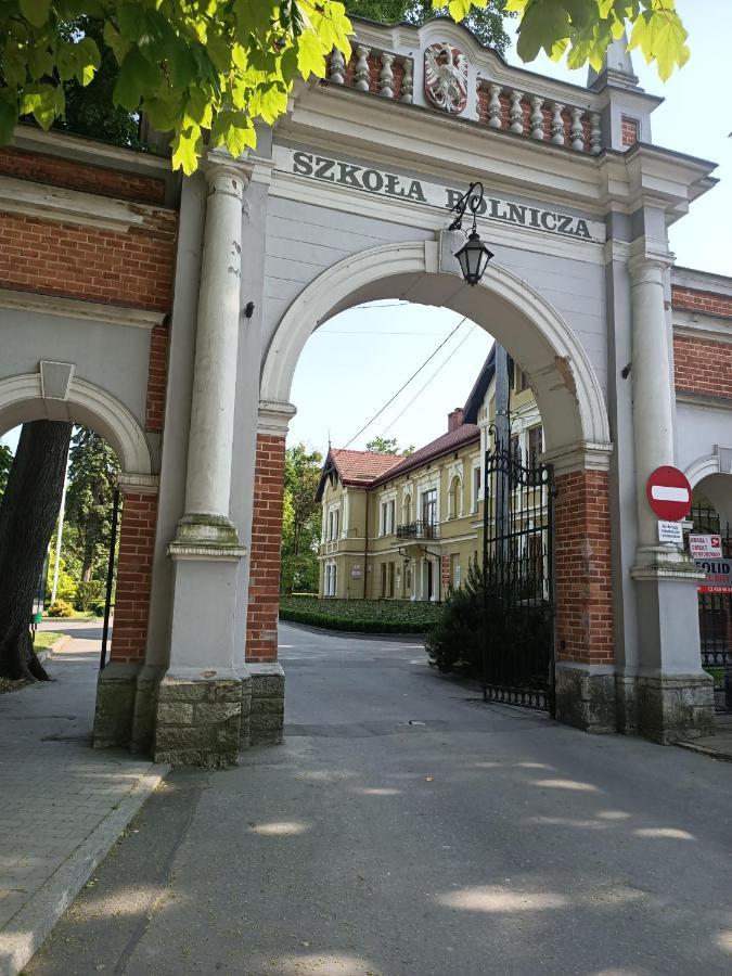 Apartament U Agaty Czernichow Krakow Zator Eksteriør bilde