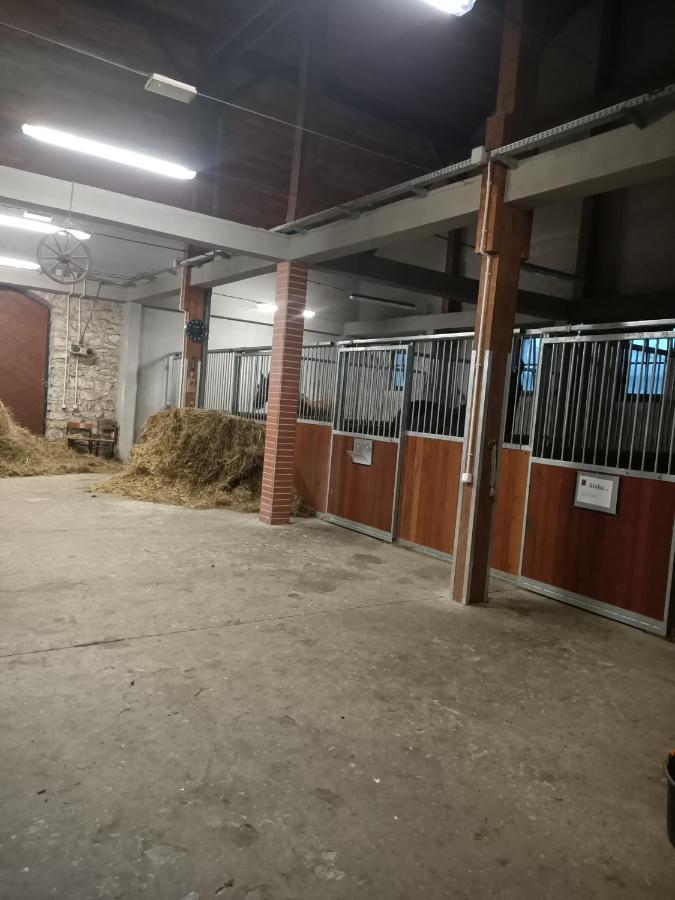 Apartament U Agaty Czernichow Krakow Zator Eksteriør bilde